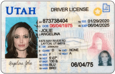 club21 ids